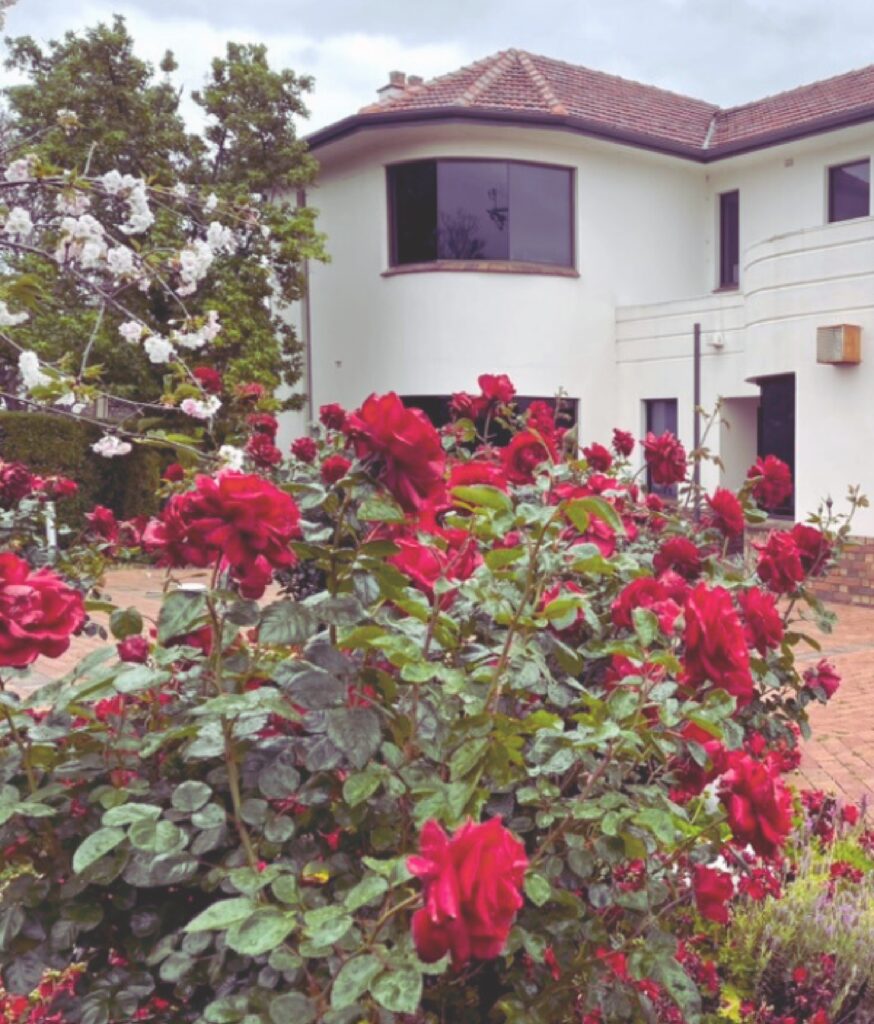 HAMILTON HOUSE PLASTIC SURGERY (600 x 800 px)